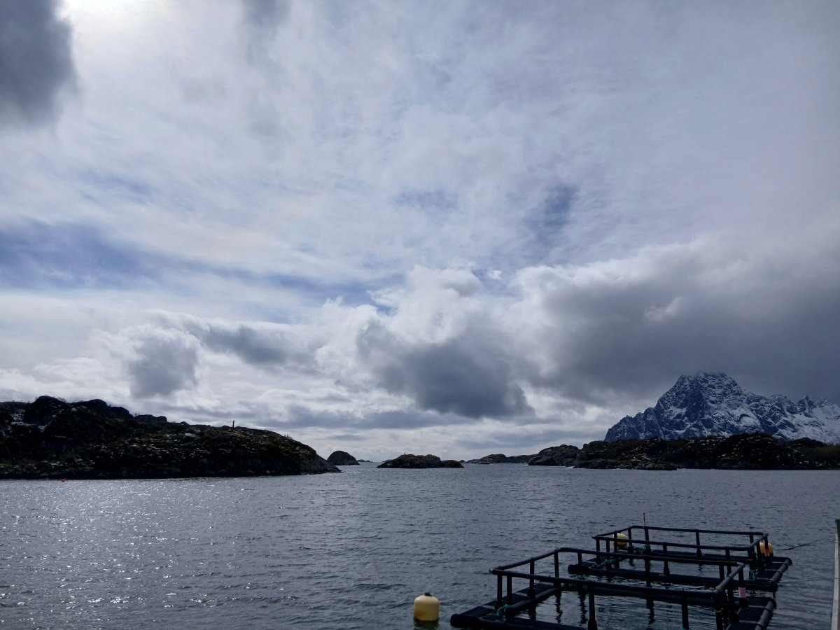 Lofoten