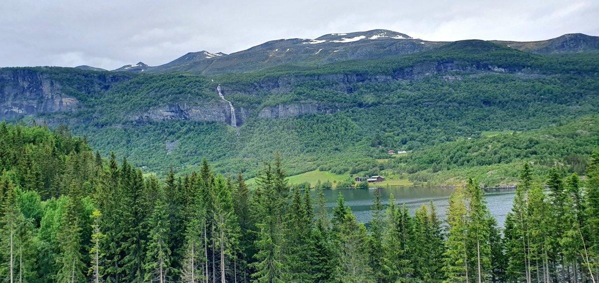 paysage de forêt avec une cascade