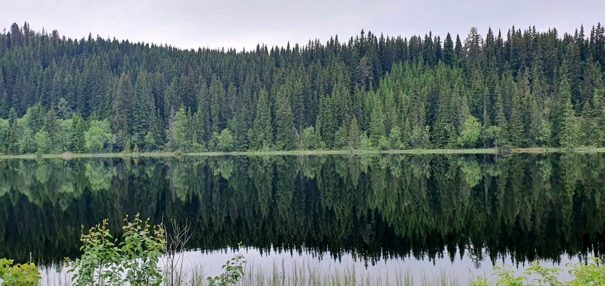 lac norvégien